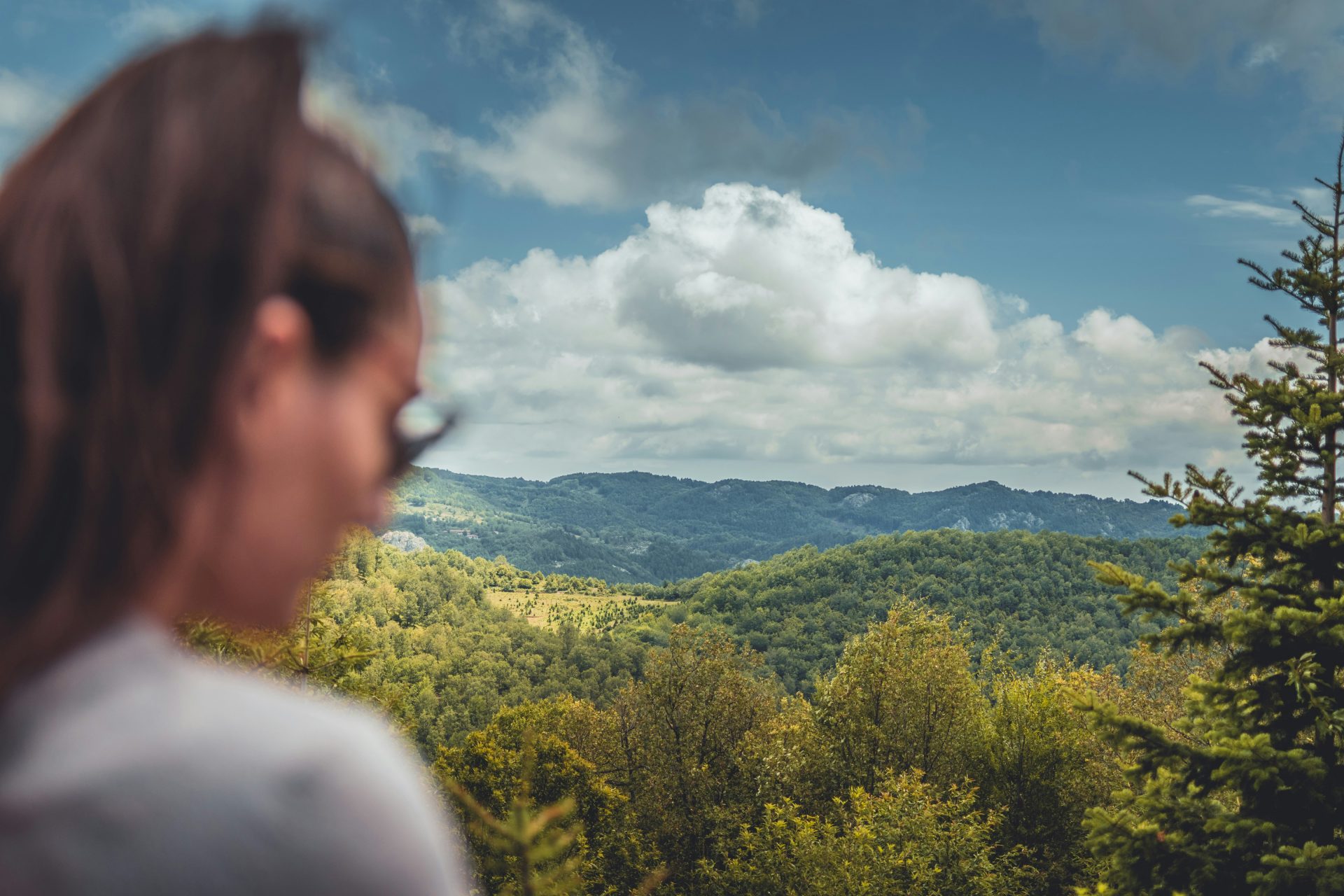 Matthäus 18:12 Verirrt im Wald des Lebens? Liebe ist der Kompass, der uns nach Hause führt.