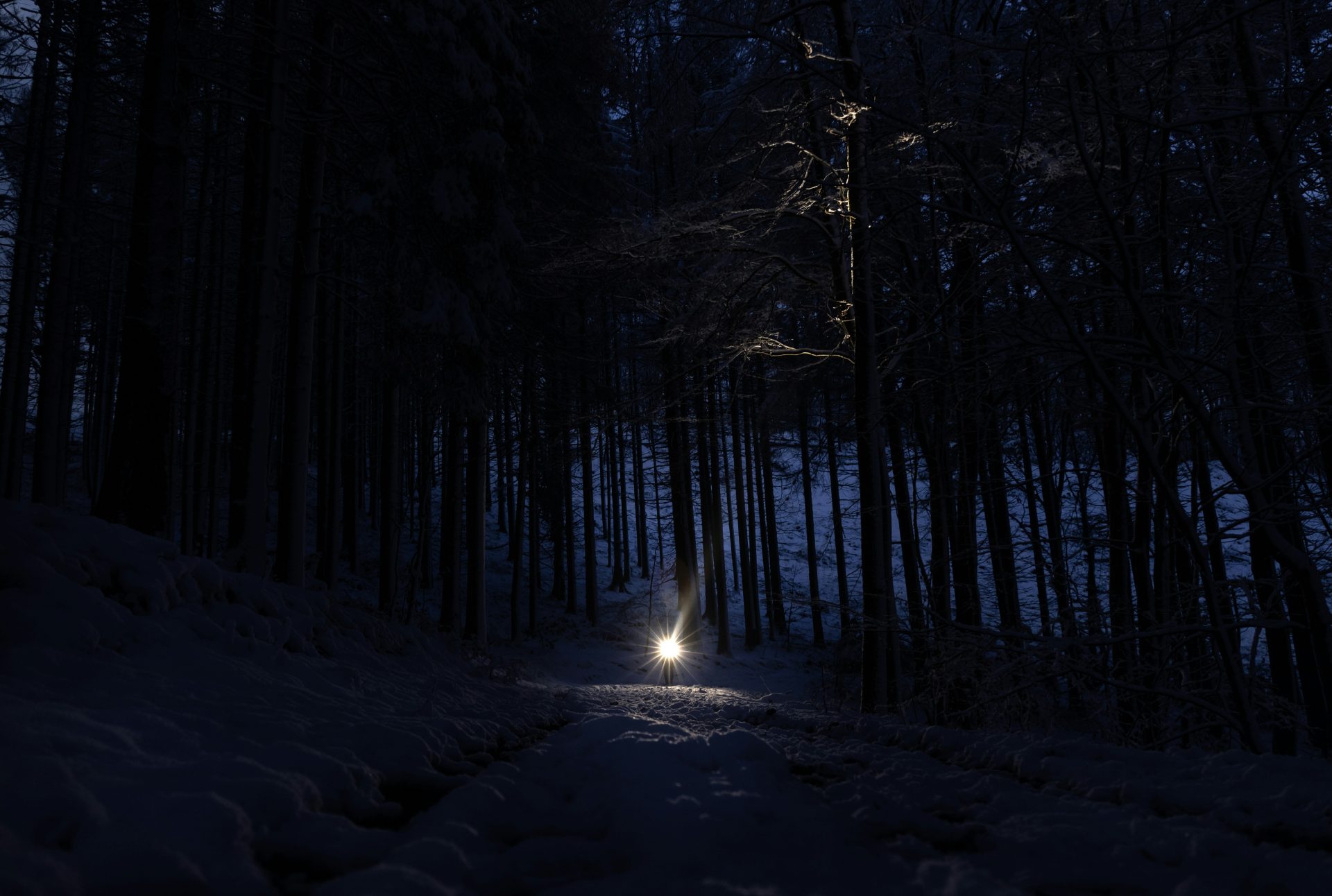 Psalm 23:4 Nicht allein durch die Schatten — Gottes finden in der Dunkelheit