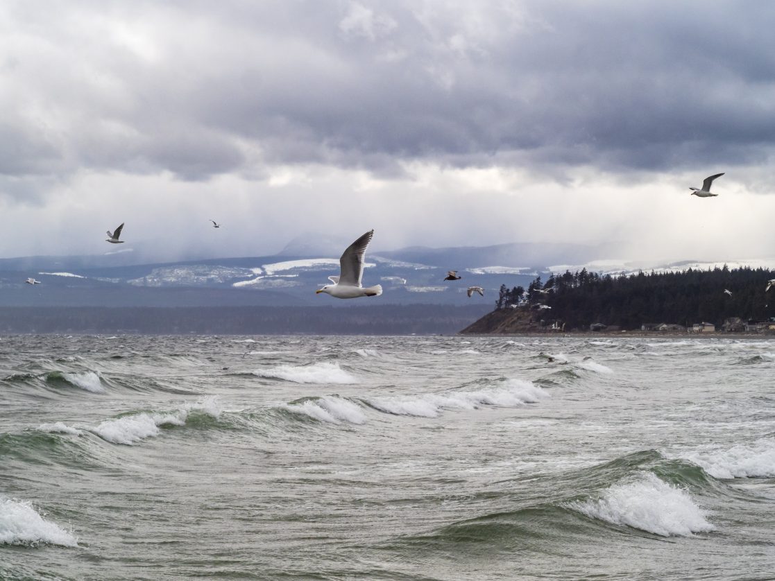 1 Chronik 29:11 Quelle der wahren Fülle – Leben in der Weite von Gottes Schöpfung