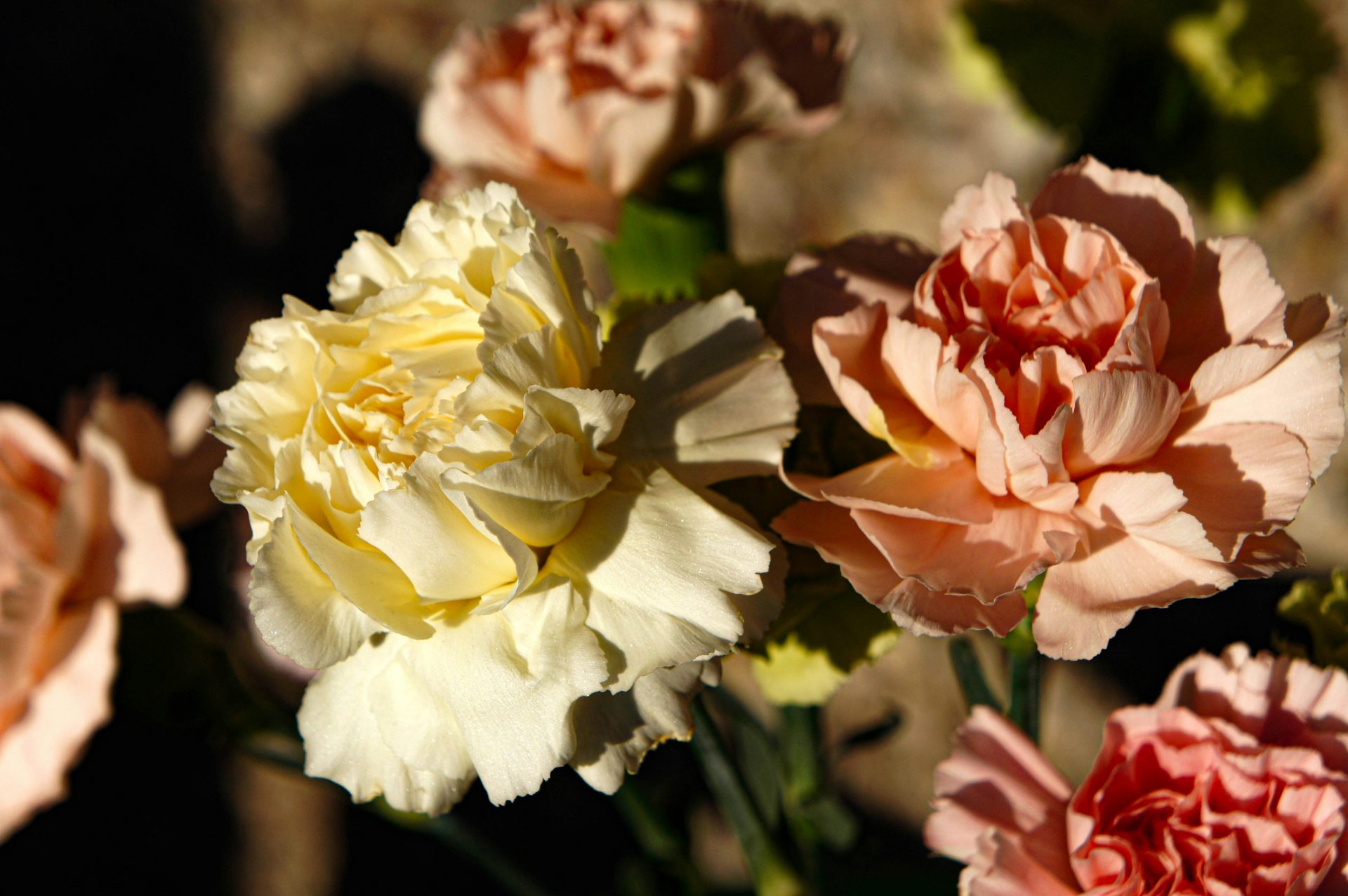 Epheser 6:2-3 Zwischen Blumenstrauß und Brückenbau – Was echte Ehre bewirken kann — Ehre deinen Vater und deine Mutter! Dies ist das erste Gebot, das Gott mit einer Zusage verbunden hat: »damit es dir gut geht und du lange auf dieser Erde lebst.«