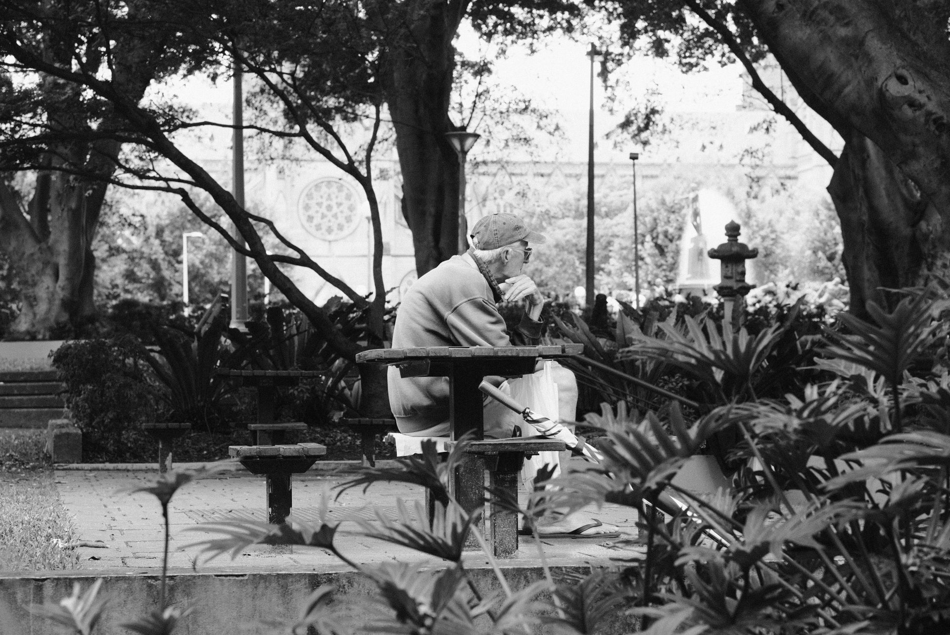 Jesaja 43,18–19 Nur ein Spross → „Denkt nicht an das Frühere, und auf das Vergangene achtet nicht! Siehe, ich wirke Neues! Jetzt sprosst es auf. Erkennt ihr es nicht? Ja, ich lege durch die Wüste einen Weg, Ströme durch die Einöde.“